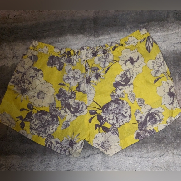 Brand New Kut Shorts from Stitch Fix in size:10. - Picture 6 of 7